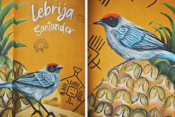 El arte embellece las calles de la capital piñera
