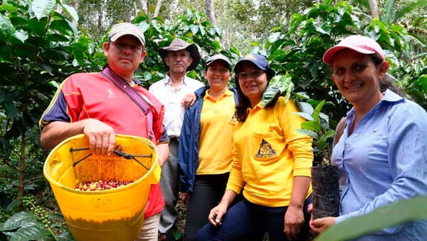 OCAD-Paz abre primera convocatoria para financiar proyectos por $2,3 billones con recursos de regalías