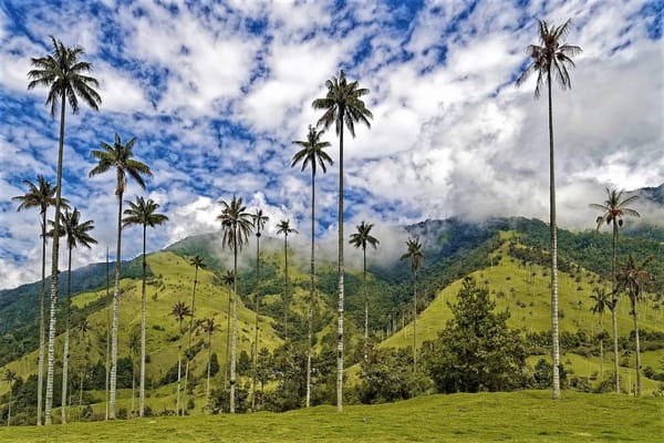 Bucaramanga promueve alternativas sostenibles para Semana Santa
