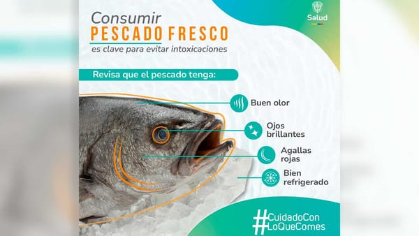 Fácil, rápido y sencillo: le contamos como reconocer un fruto del mar fresquito y delicioso
