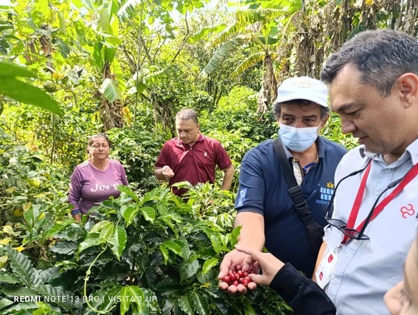 Víctimas del Conflicto en Santander lograron un impulso para sus productos comerciales