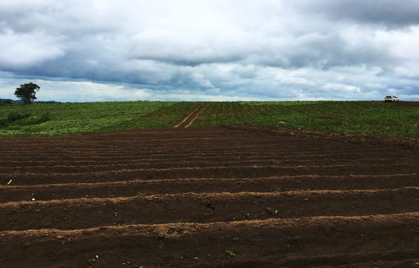 La Corte recordó las facultades del juez de restitución de tierras, entre ellas, la contribución a la paz y el acceso progresivo a la tierra