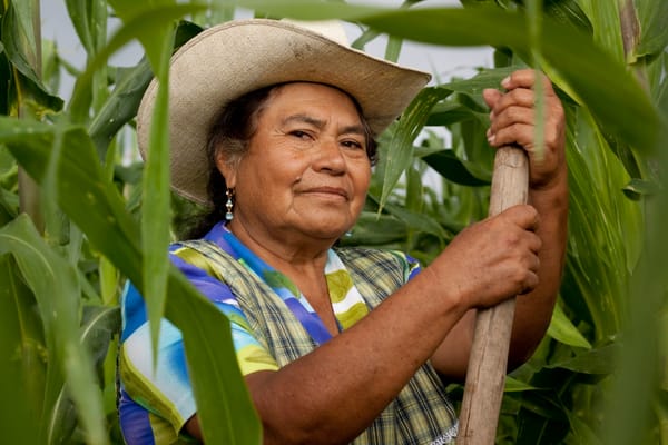 Congreso aprobó proyecto que beneficia a las familias campesinas