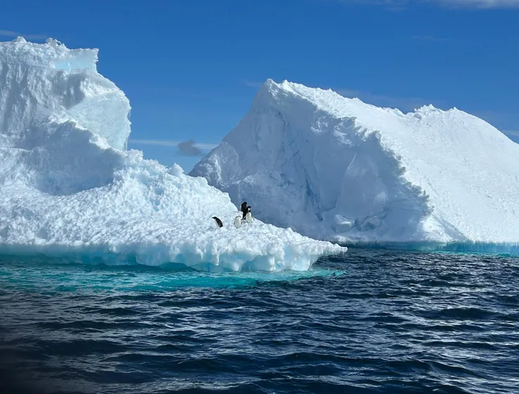 El mundo oculto bajo el hielo de la Antártida: ríos subglaciales amenazan con acelerar el aumento del nivel del mar