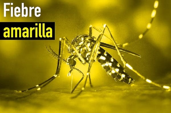 Alerta en Barrancabermeja por primer caso probable de fiebre amarilla