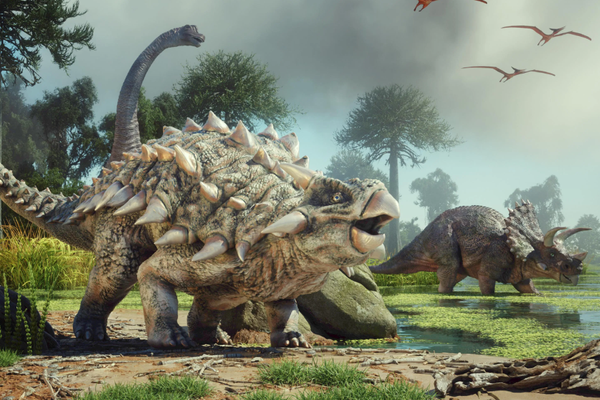 Iridio: El elemento que desveló el misterio de la extinción de los dinosaurios