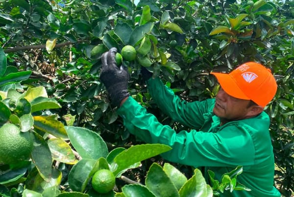 Empresas santandereanas en alerta por arancel del 10% impuesto por Trump