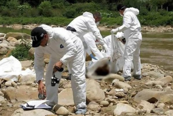 Hallan cuerpo cercenado los brazos y piernas