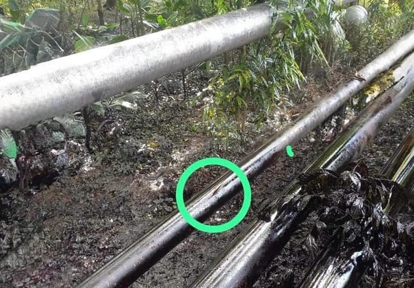 Intento de robo de hidrocarburos provocó peligroso derrame en el caño La Cira en Barrancabermeja