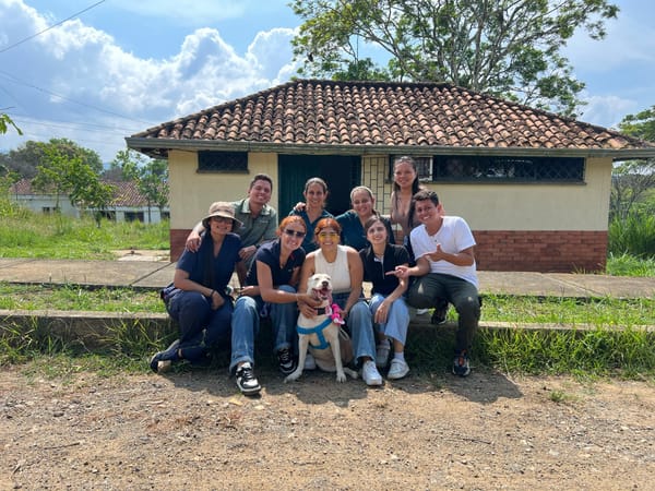 31 cambios de vida: Bucaramanga avanza en bienestar animal