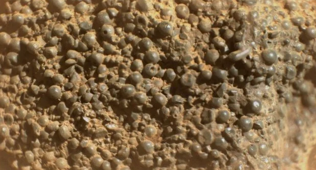 ¿Huevos alienígenas? La NASA descubre esferas inquietantes en el suelo marciano