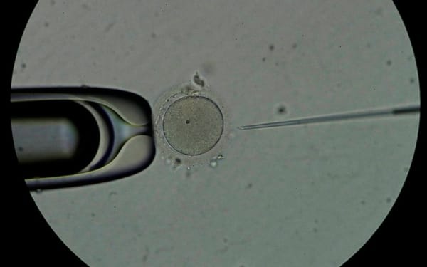 Maduración in vitro de óvulos: una nueva era en la medicina reproductiva