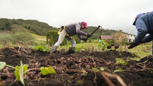 Sector agrario jalonó creación de 381.000 empleos en marzo de 2025