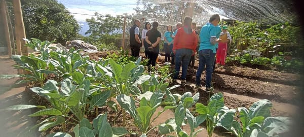 Laura Escobar, la santandereana que volvió al campo para sembrar futuro