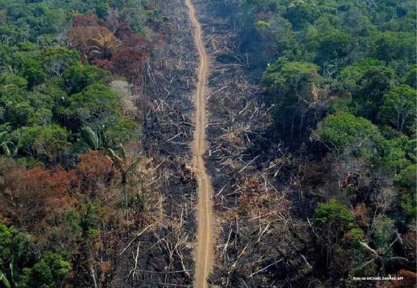 Se agudiza crisis ambiental en la Amazonía: 88.000 hectáreas deforestadas y 1.107 kilómetros de vías ilegales
