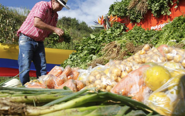 Críticas al gobierno por dificultades de los pequeños cultivadores para acceder a crédito digno