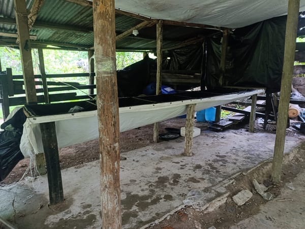 Ejército golpea las finanzas ilícitas del ELN en el sur del Cesar