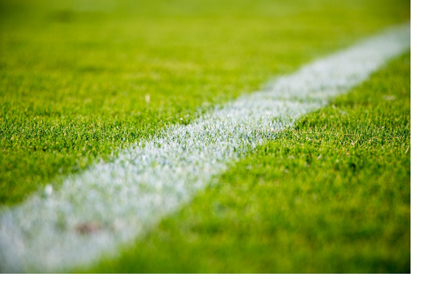 ¿Quiénes son los candidatos al título en la Liga BetPlay 2025?