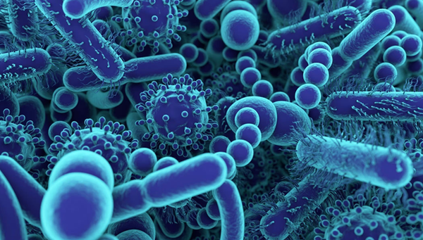 Revolución médica: Sus bacterias podrían salvarlo del cáncer