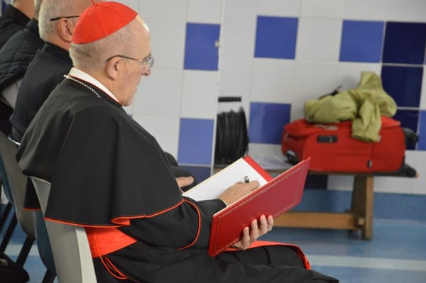 Cardenales colombianos  oraron en Roma por la paz