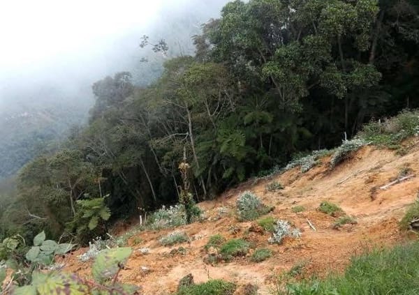 “El Gobierno brilla por su ausencia”: denuncias tras avalancha en Piedecuesta