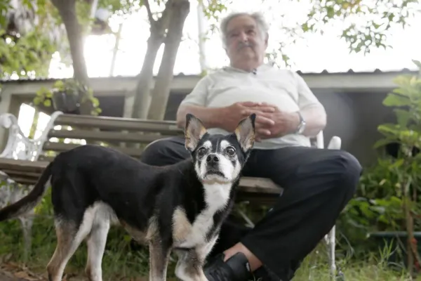 Manuela, la perra de tres patas que fue la reina de la casa de José Mujica