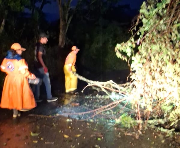 Vendaval desató emergencia en el sur de Santander