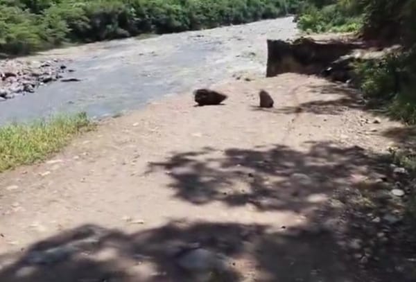 “Llevamos un año sin carretera”: clamor de los campesinos de Cabrera