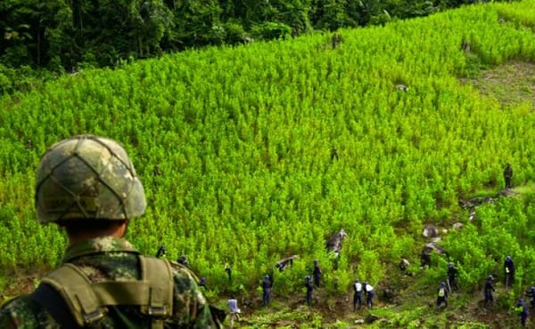 Colombia es el primer productor mundial de cocaína del mundo