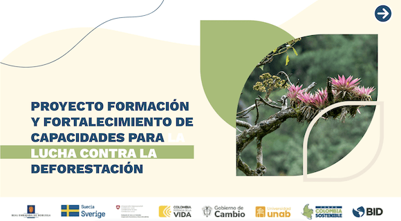 Bumangueses jugaron un papel clave en la lucha nacional contra la deforestación