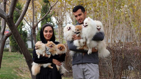 Irán amplía la prohibición de pasear perros