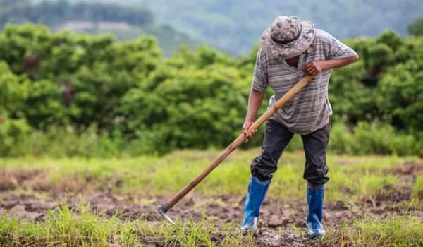 El agro santandereano florece con tecnología, inversión y alianzas