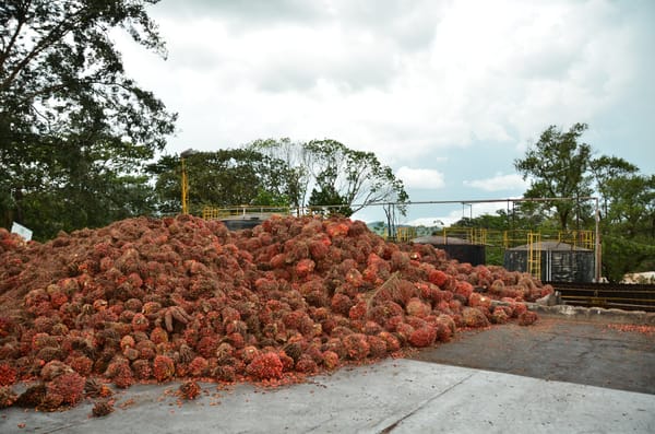 Exportaciones agropecuarias y agroindustriales marcan récord histórico en Colombia