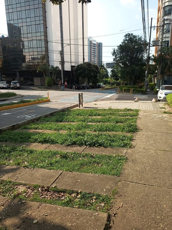 ¿Dónde están los árboles, Bucaramanga?