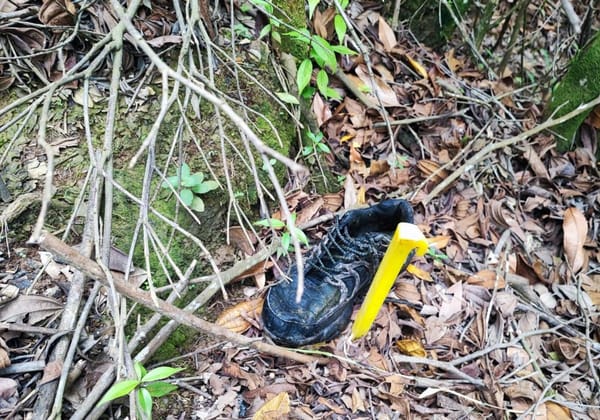 Hallan sin vida a joven en zona rural