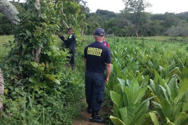Campesino fue hallado sin vida en Santander