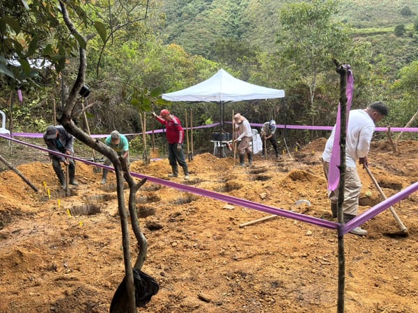 Desenterrando la esperanza: Hallan en cementerio de Suratá cuerpos de desaparecidos forzados