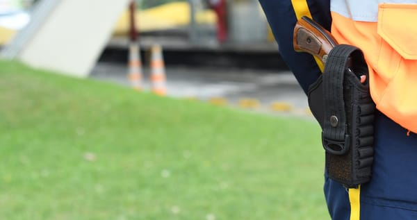 Gobierno pone la lupa sobre armas en empresas de vigilancia