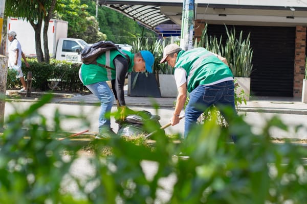 Recuperada área degradada con plantas en el barrio Toledo Plata