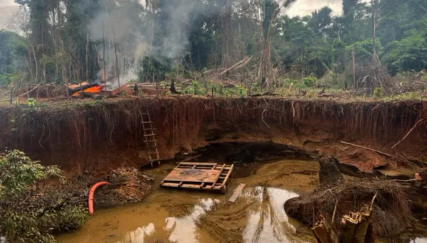 Recuperan 12 predios protegidos y capturan 54 personas por minería ilegal