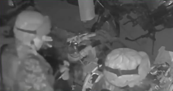 Investigan a soldados por video donde presuntamente consumen cocaína