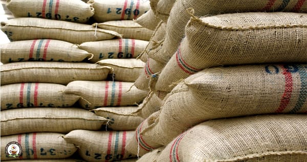 Internos de la cárcel de San Gil elaboran sacos de fique para exportación
