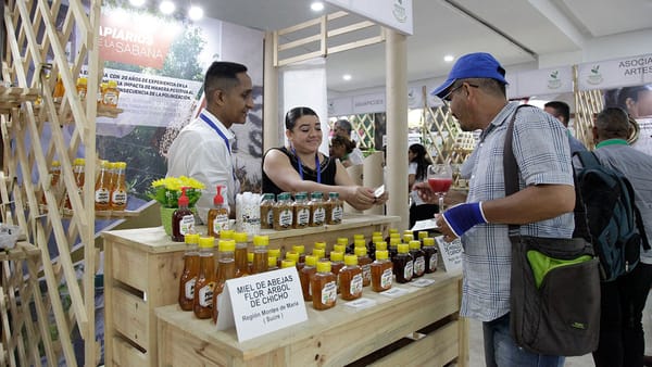 Inicia Bioexpo 2025, la feria de negocios verdes más importante de Latinoamérica