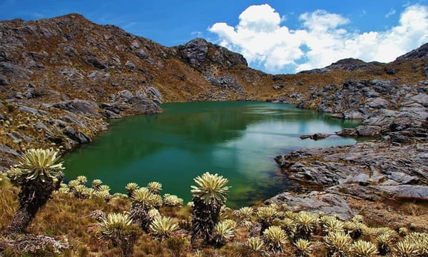 MinAmbiente apeló sentencia que declara al Páramo de Santurbán sujeto de derechos