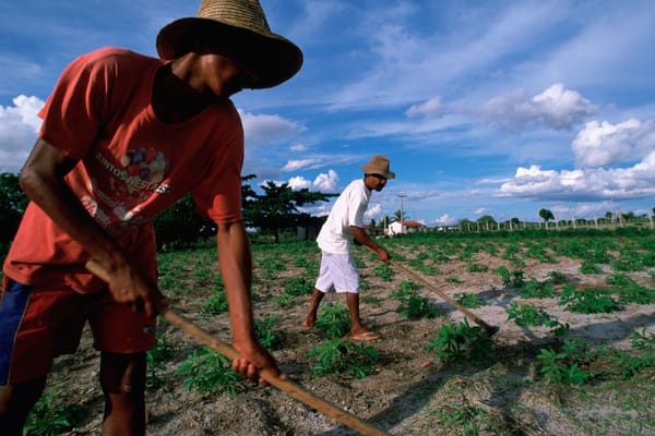 No hay claridad de las cuentas en el Fondo de Horticultura, productores exigen transparencia