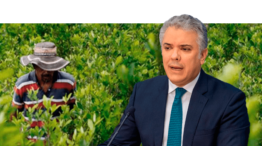 Petro culpó a Duque en el aumento de los cultivos ilícitos en Colombia