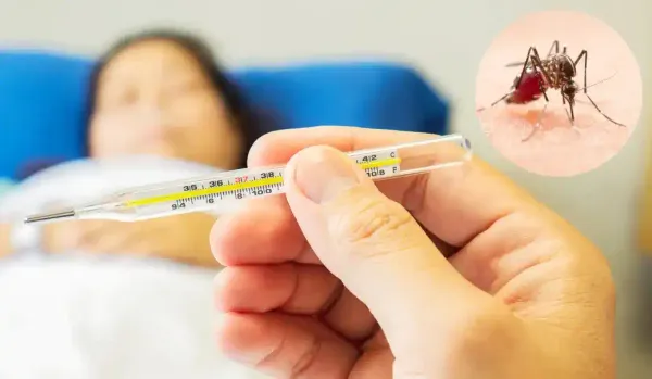 Lebrija logra reducir los casos de dengue y evita complicaciones graves en 2025