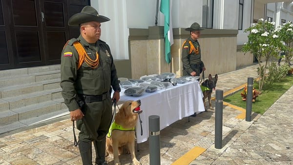 Canino detectó 8.000 gramos de estupefacientes