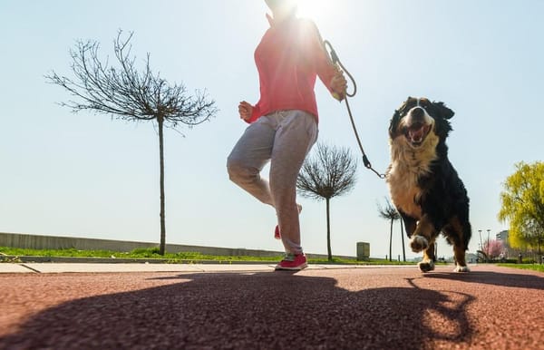"Paticas a la calle": Bucaramanga corre por el bienestar animal
