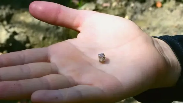 Mujer encontró diamante de 2,30 quilates tras búsqueda de un mes por un parque